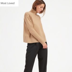 Everlane Cashmere square turtleneck